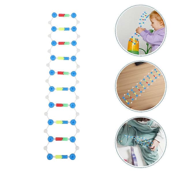 2 st plast DNA dubbelhelix modellkit för vetenskaplig utbildning
