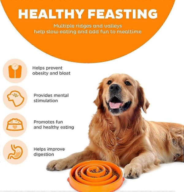 DLM Outward Hound Fun Feeder Slo Bowl, langsom foder-skål til hunde, stor/almindelig, lilla B