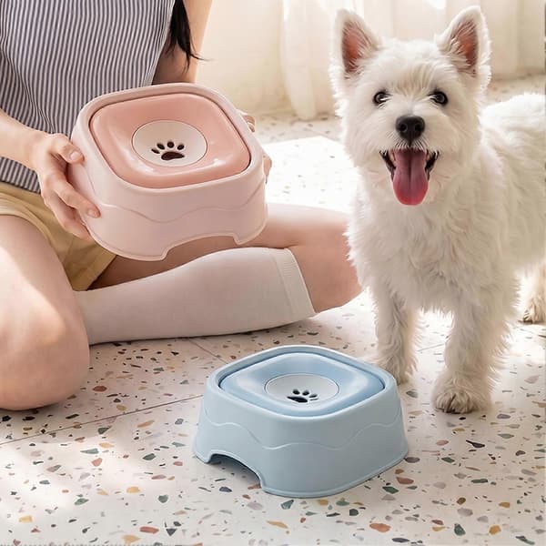 Vandskål med flydende disk til hunde og katte, spildsikkert design Blue