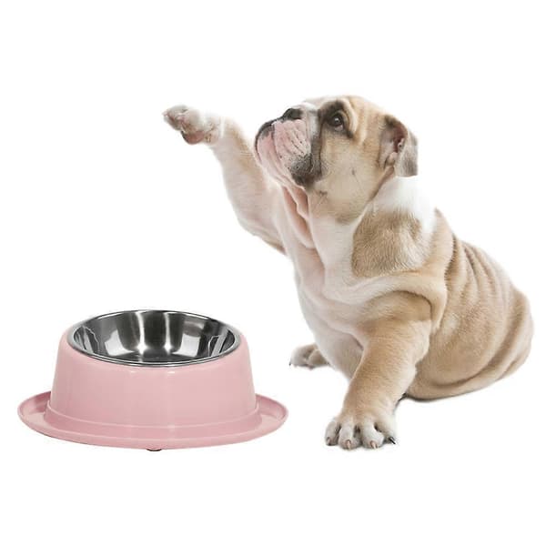 Foderautomat i rustfrit stål til hunde og katte - Skridsikker lyserød skål