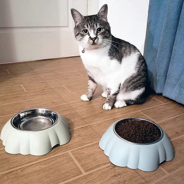Skadelig-fri rustfrit stål materiale 5,71 tommer mini blå/grøn/lyserød vandskål til katte og hunde, blå Blue