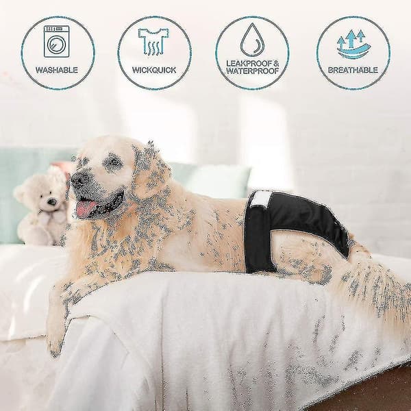 Pakke med 3 Genanvendelige Vaskbare Hundebleer, Højabsorberende Hundebukser style 3 L