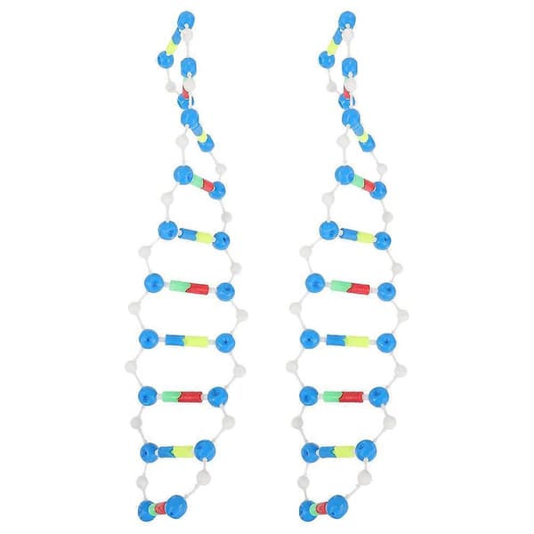 2 st plast DNA dubbelhelix modellkit för vetenskaplig utbildning