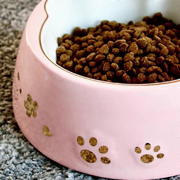 Kattepote-skål kirsebærblomst kæledyrs-foder- og vandskål til katte og hunde keramisk
