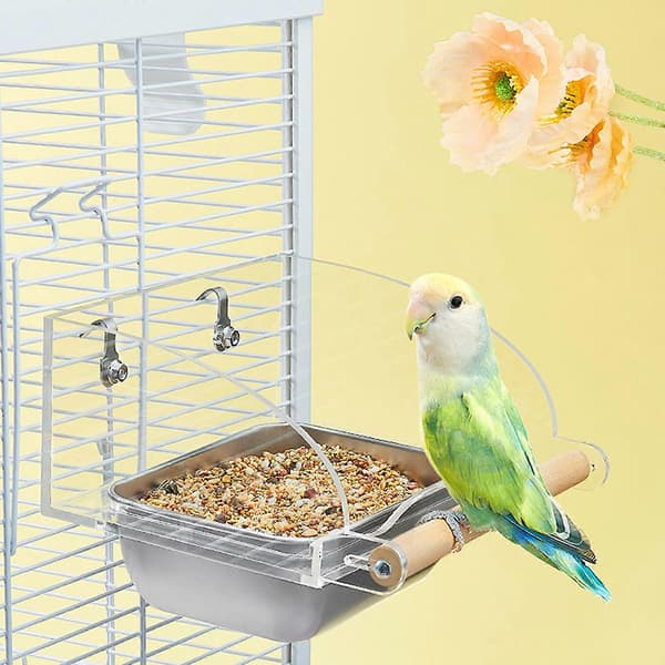 Foderautomat til fugle i akryl og rustfrit stål med spildsikkert design til små og mellemstore fugle Large bowl