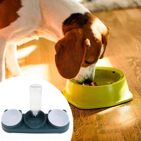 Dobbelt skål til kæledyr, foder- og vandskål med forhøjet design og vanddispenser til daglig fodring af hunde og katte, sort Black