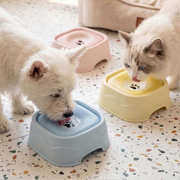 Vandskål med flydende disk til hunde og katte, spildsikkert design Blue