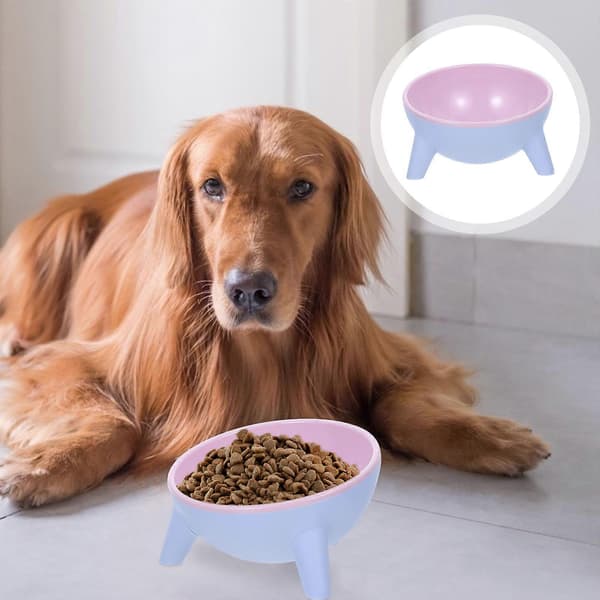 Dobbelt foder- og vandskål til katte og hunde