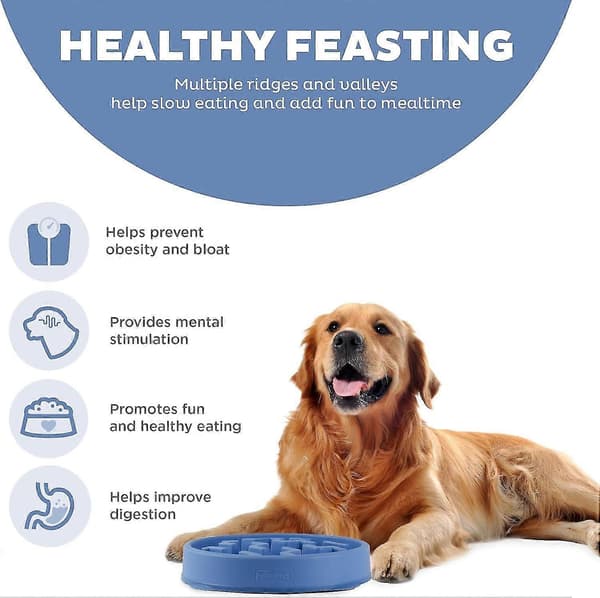 Outward Hound Fun Feeder Slo Bowl, langsom foder-skål til hunde, stor/almindelig, lilla D
