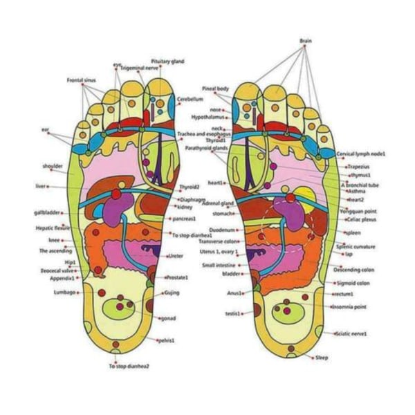 Zonterapi Foot Massager Tofflor Akupressur Massage Skor 44-45 brown