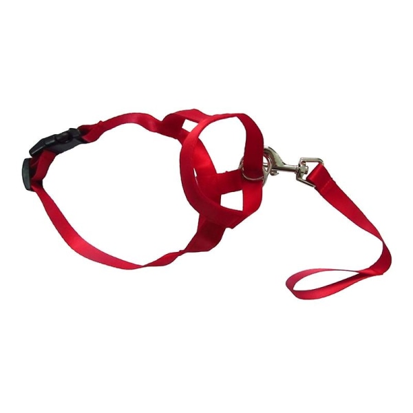 XXL justeringsstropper maske for små hunder Nylon hundesnuteparti Justerbar antibiting (rød) Red XXL