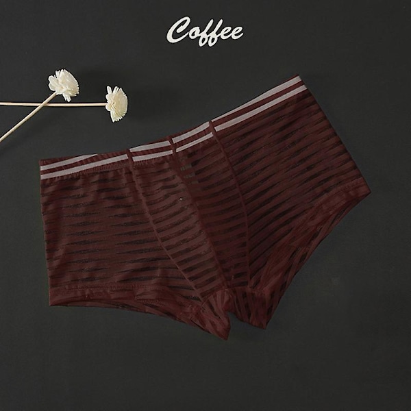 Herre Boxer Shorts Panties Fashion Transparent Briefs Stripe Low Rise Underpants Sexy Herreundertøy Man Bodysuit Trunk Pant 5 3xl