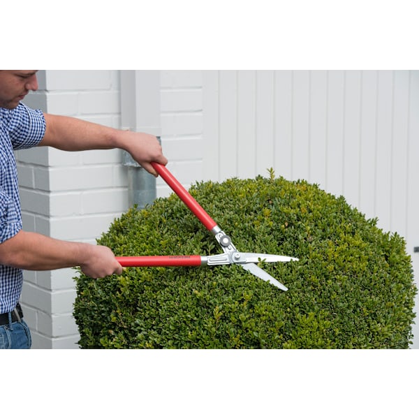 Berger Häcksax 2520 - Formklippning, Topiary