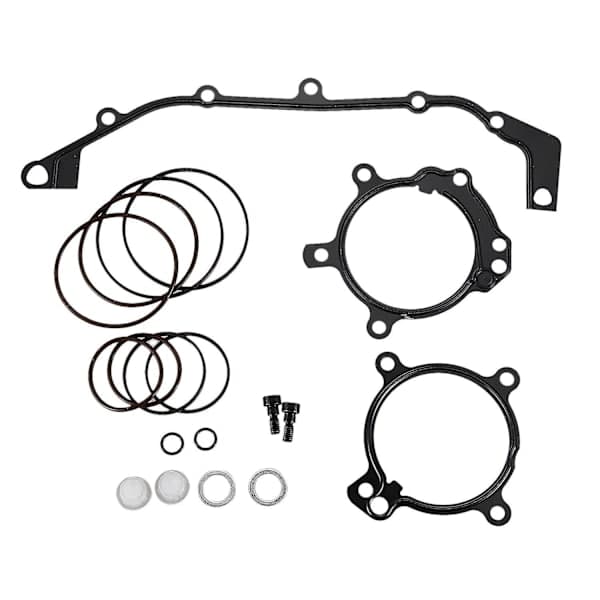 Dubbel Vanos O-ring reparationssats för BMW E36 E39 E46 E53 E60 E83 E85 M52Tu M54 M56