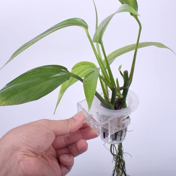 2 hängande akvarieväxthållare akvariumkruka