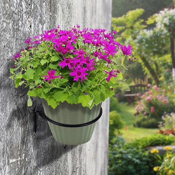 Blomkruka väggfäste, 3-pack metall blomkruka väggkrok