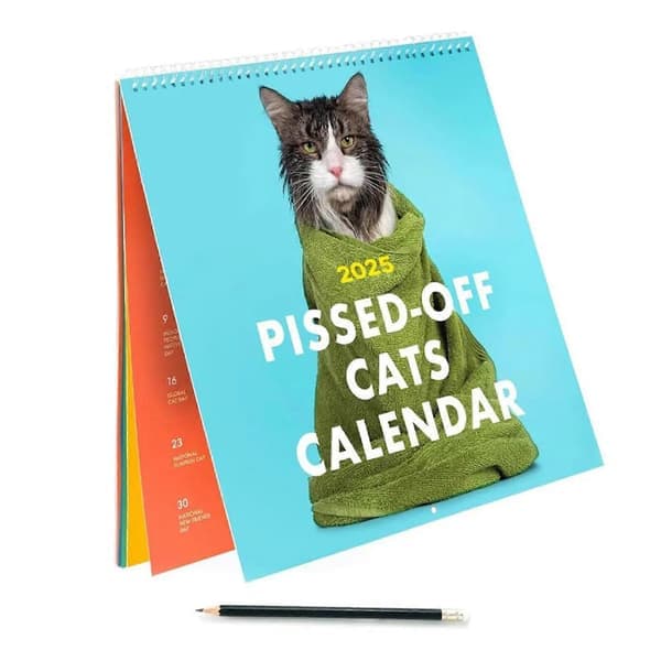 2025 Pissed-Off Cats Kalender Sinte Katter 2025 Kalender