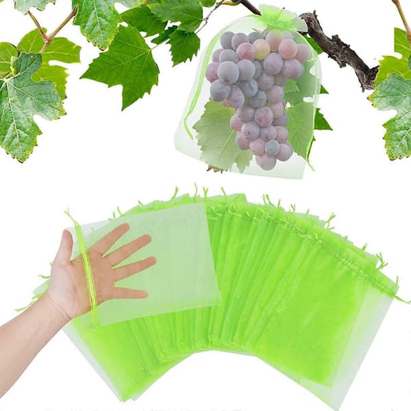 50x Fruktskyddsnätpåsar Dragsko Trädgård Växtnätsskydd 20*30