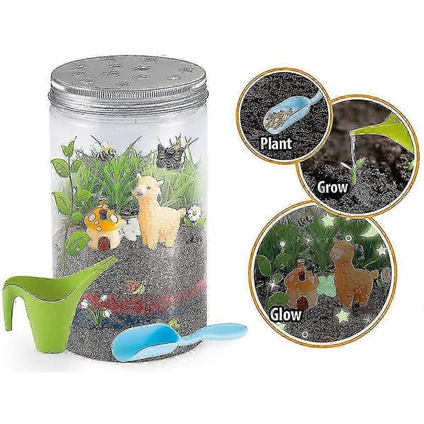 Grow & Glow Terrarium Kit Pedagogiskt DIY-växtprojekt för barn