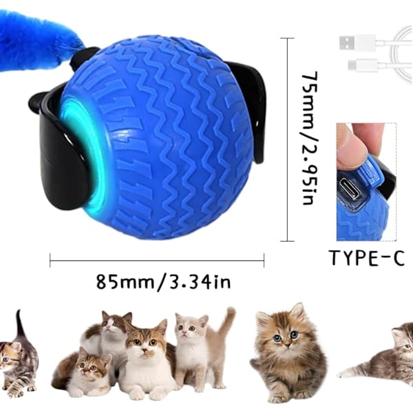 QILUCKY Speedy Tail Kattelegetøj