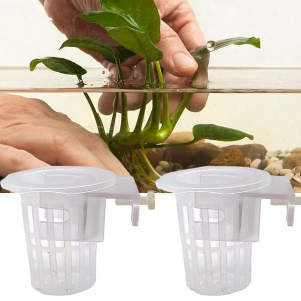 2 hängande akvarieväxthållare akvariumkruka