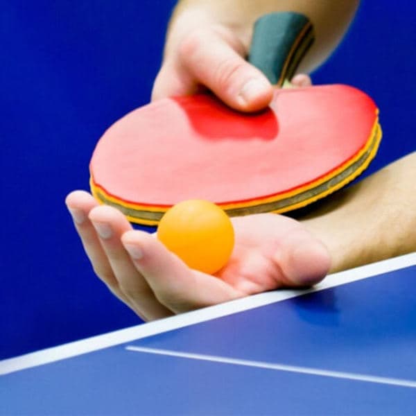 Bordtennisbolde 50 stk 50pcs
