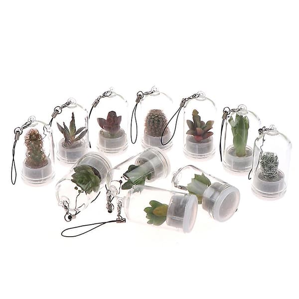 Sött miniatyrkaktus-suckulenthalsband - Levande terrariumväxtsmycke