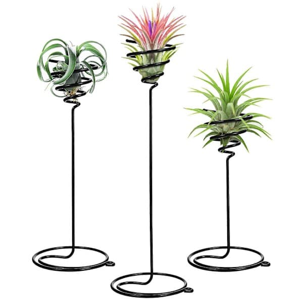 3 st Växtdisplayställ Tillandsia Displayhållare Spiral Blomsterställ Luftväxtställ