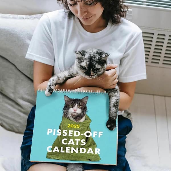 2025 Pissed-Off Cats Kalender Vrede Katte 2025 Kalender
