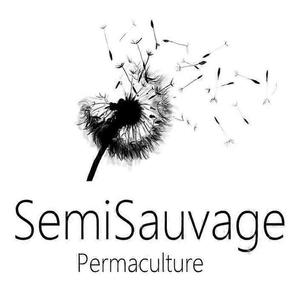 35 Sorte Kirsebærtomatfrø Semi-vilde Permakultur