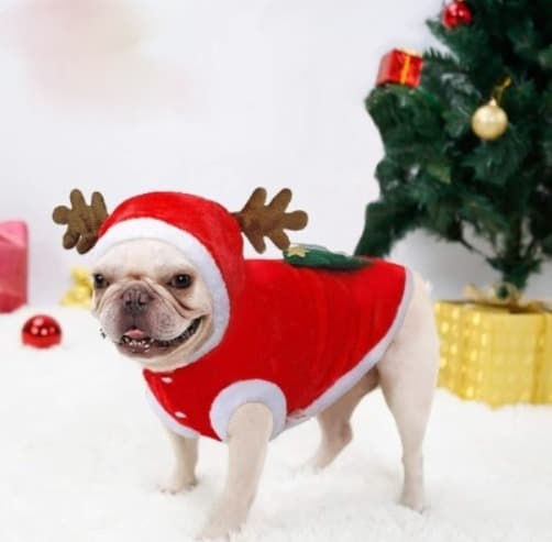 Julekostumer til kæledyr, festkostumer til katte og hunde