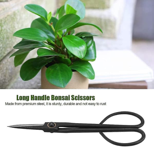 Bonsai Saks, 205mm Langt Håndsaks Rustfritt Stål
