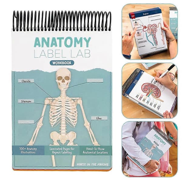 Anatomys Label-Lab Din Ultimative Studiearbeidsbok The Ultimates Anatomys Studieveiledningsbøker for Sykepleierstudenter Blue1