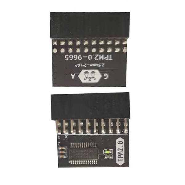 TPM 2.0 Säkerhetsmodul för Gigabyte Moderkort 20-1 Pin Krypteringsminneskort Förbättrat Dataskydd
