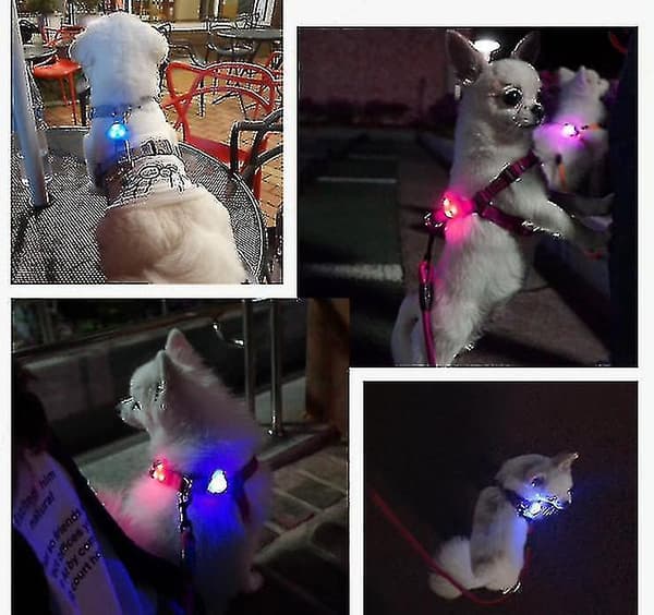 Hundehalsbåndlys