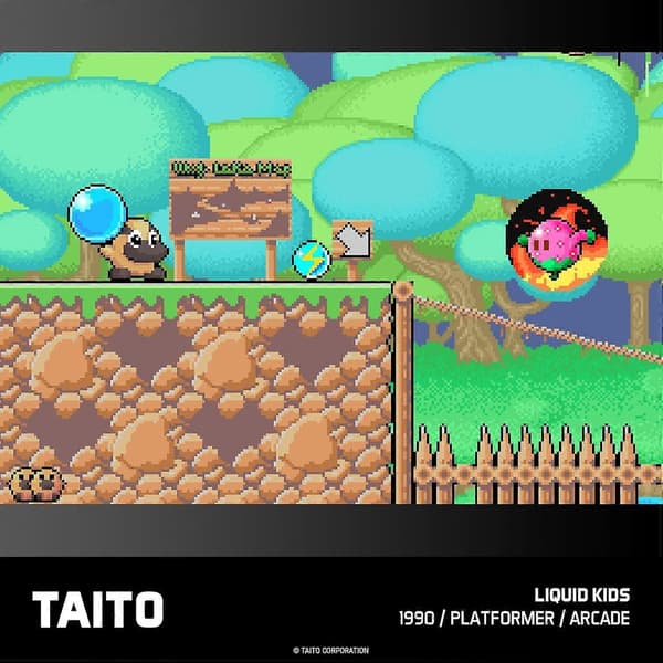 Evercade Taito Arcade 2 Spilkassette