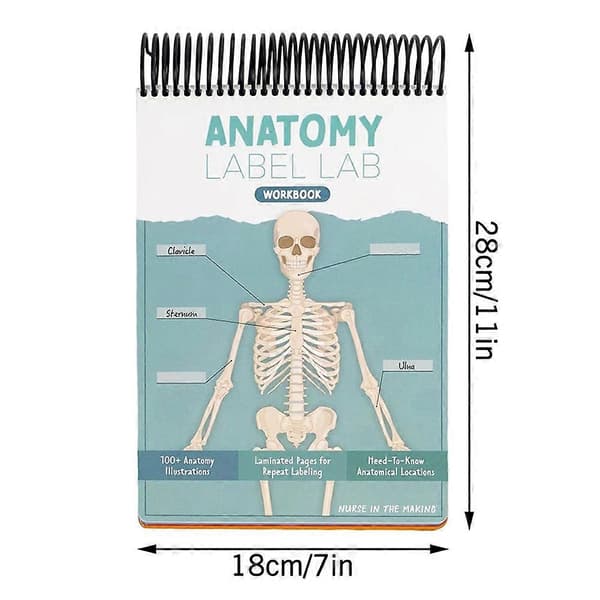 Anatomys Label-Lab Din Ultimative Studiearbeidsbok The Ultimates Anatomys Studieveiledningsbøker for Sykepleierstudenter Blue