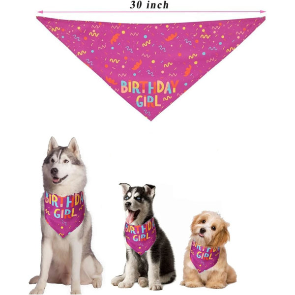 Fødselsdagspige Bandana Trekant Sjal Hund Fejringstryk til Små og Mellemstore Hunde Fødselsdagsartikler (Pink)