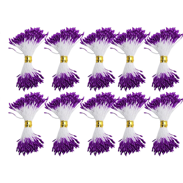 900Pcs Flower Stamen Purple Gypsum Artificial Bouquet Decor HandMade Crafts Accessories(1mm#2 ) YEMAA