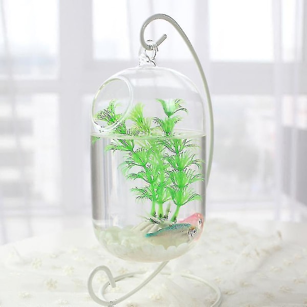 N 15cm Ophængt Transparent Hængende Glas Akvarium Infusion Flaske Akvarium Blomst Plante Vase Blomst Vase Til Hjemmedekoration (kun Inklusive Gl