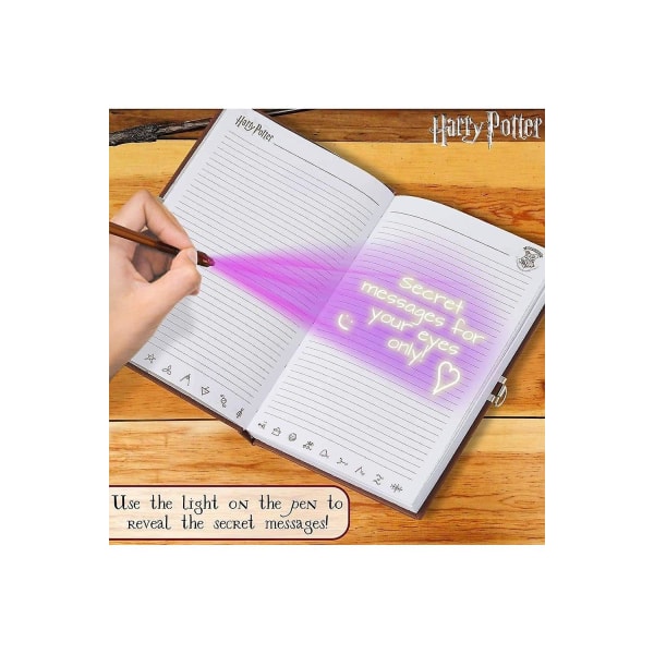 Harry Potter hemliga dagbok set