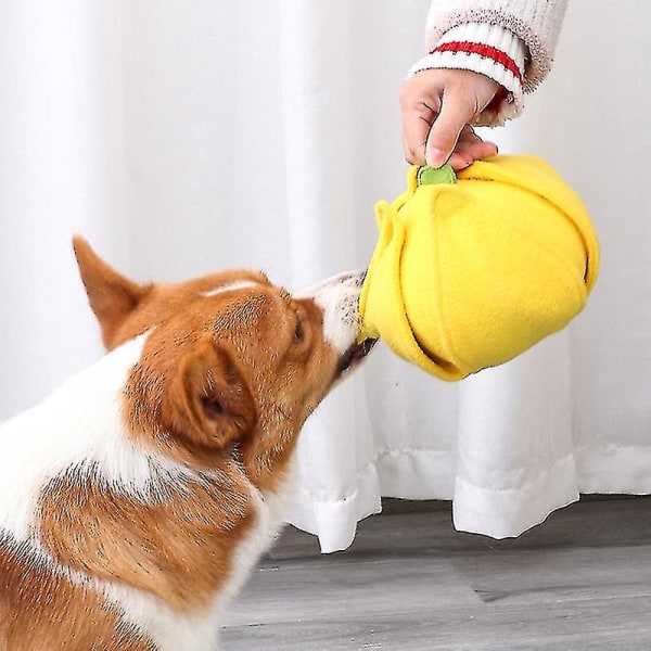 Plysch hundsnusleksak Husdjur Interaktiv Pusselmatare Matträning Iq Hundtuggleksaker