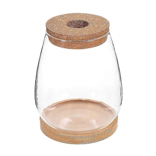 1 Sæt Plante Terrarium Hydroponisk Plante Plantepotte DIY Landskab Flaske Skrivebords Planter Holder