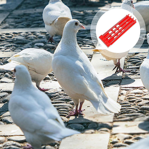 Förvaringsställ för duvring, hållare för duvring, numrerade identifieringsringar