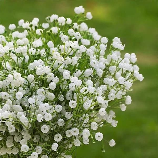 5 hvite kunstige blomster - kunstige plastblomster
