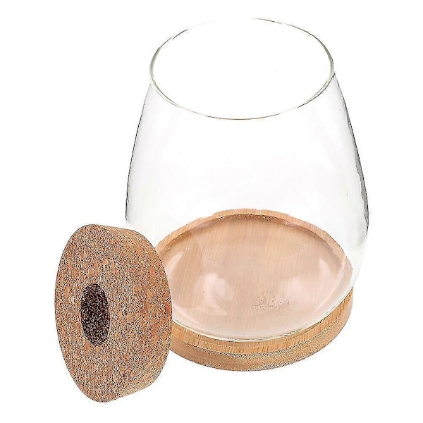 1 Sæt Plante Terrarium Hydroponisk Plante Plantepotte DIY Landskab Flaske Skrivebords Planter Holder