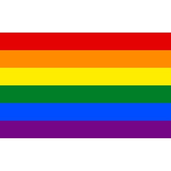 GAY FLAG RAINBOW ( RAIBOW ) 90 CM X 150 CM