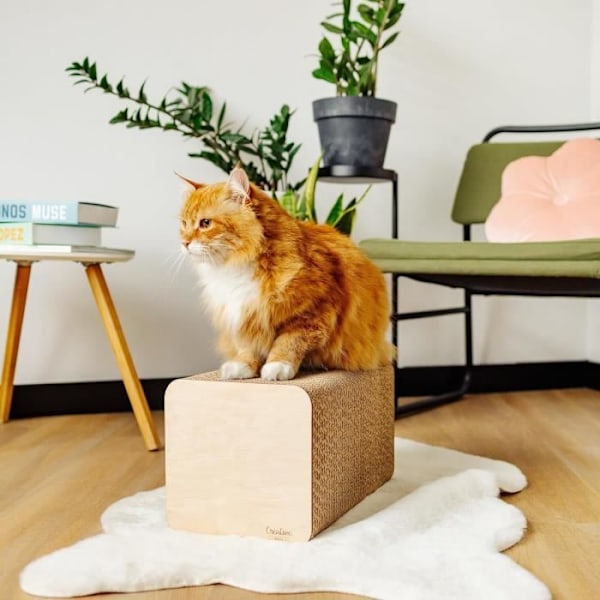 Kattskrapstolpe - KREATIVA DJUR - 37 x 21 x 21 cm - Skrappapp - Skyddar möbler kastanj
