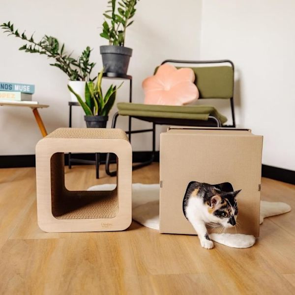 Kreative kæledyr Kat-kradsestolpe - Paphus - 37 x 30 x 30 cm - Brun - Beskytter møbler kastanj