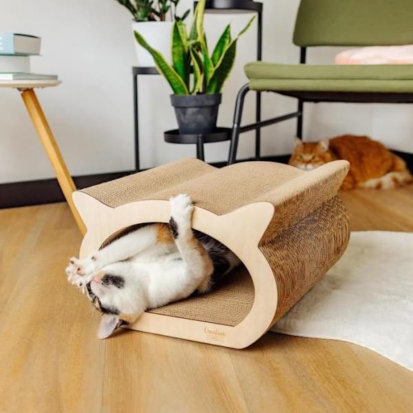 Kreative Kæledyr Kat Kradsestolpe 37 x 36 x 23 cm + Paphus | Cat Scratcher forstærket med krydsfiner | Møbelbeskytter kastanj